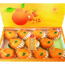 [써니트 한라봉 개발자] 제주 한라봉 3kg 5kg 10kg 선물세트 선물용 가정용 벌크 오렌지 귤, 5. 써니트 10kg(중과)