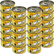 고양이 주식 캔 스프 간식 통조림 치킨 참치 24개, 가인1 치킨 참치 24개