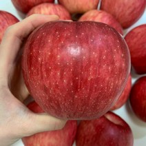 껍질째 먹는 영주 꿀사과 햇사과 부사 5kg 10kg, 5kg정품중대과(14-15과)