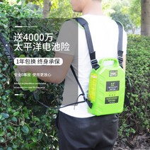 전정기 예초기 헤지트리머 리튬 무선 충전식 배터리 전기 잔디 깎는 기계 헤지 차 따기 액세서리 빠르고 느린 충전 24V/36V/48V, [01] 배터리가 만능이 아니라 상담 후 가져갔어요