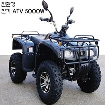 친환경 전기 ATV 5000w 사륜오토바이 산악용바이크, 검정