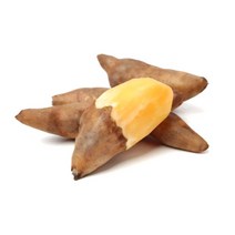 야콘 상품 5kg 10kg 특품 생야콘 즙용 생식용 땅속의 배 산지직송 햇야콘, 야콘(상품 10kg)