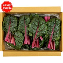 [가락시장 경매 식자재 채소] 적근대 2kg, 1box