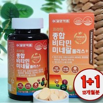 1+1온가족 수험생 영양제 피로회복제 대용량 씹어먹는 종합 비타민 미네랄 180정x2박스, 1+1