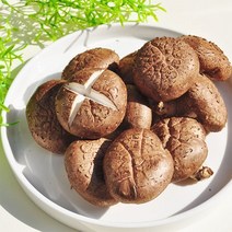 장흥 생표고버섯 4kg 최상급, 없음