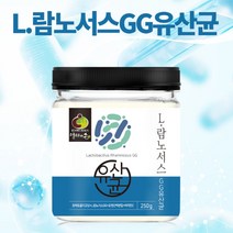 4세대 신바이오틱스 락토바실러스 람노서스 유산균 분말 가루 장정착 장밀착 생존 유산균먹이 프락토올리고당 파우더, 1개, 250G