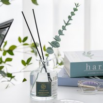 취향저격 올레비엔 시그니처 대용량 실내 명품 니치향수 디퓨저 250ml, 우드세이지앤솔트, 1개