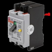 누전차단기_2P_5KA_60A_62)_62(TCE_TBE A9AB, 상세페이지 참조