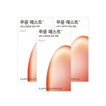 닥터블릿 푸응 패스트 복숭아맛, 3개, 120g