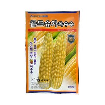 제일 골드슈가옥수수 씨앗100립 (초당옥수수)