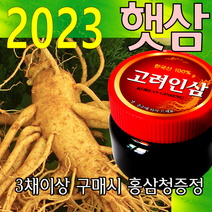 금산인삼아줌마 인삼 (3호)6년난발삼 750g 산지에서 발송 가정용 수삼, 1개, 6년난발삼(3호) 750g