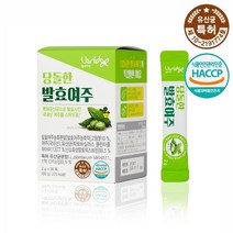 엘브리지 당돌한 발효여주 특허유산균으로 발효한 고농축 국내산 여주 분말 가루, 1박스, 2g × 30포