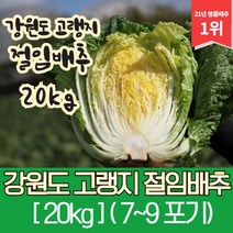 강원도 고랭지 절임배추 20kg, 09월 19일 (화요일)