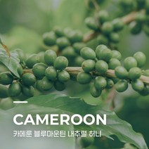 [생두] 카메룬 블루마운틴 내추럴 허니 10kg