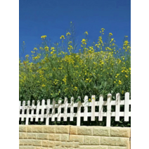 정원울타리 화단 분리대 잔디보호 휀스 나무 난간대, 화이트 100×30×45