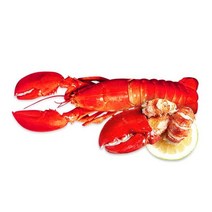 자이언트 킹 랍스터 자이언트 킹 랍스터(600~900g) 골든사이즈 4마리+크래커, 단일옵션