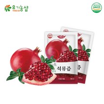 [초록한입] 1인가구 / 국내산 석류즙 100ml 10포