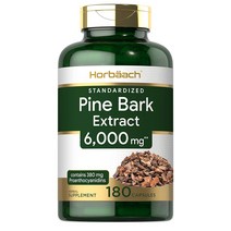 미국 호바흐 Horbaach 파인 바크 소나무껍질 추출물 6000mg 180캡슐 2팩