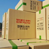 국내산 씨앗 모종 트레이 1box 100개 모종판 육묘판, 162구 1박스