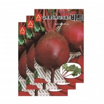 채소씨앗 - 비트씨앗 디트로이트다크레드 비트(5gx3)