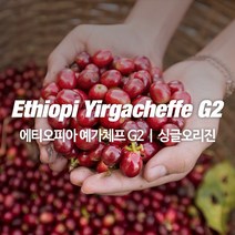 감탄커피 1kg 에티오피아 예가체프G2 원두커피 싱글오리진 HACCP 당일로스팅 햇생두 뉴크롭, 프렌치프레스용 분쇄