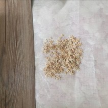 조가비 비즈 천연 조개 소라 공예 수족관 관상어 인테리어 어항 껍질 불가사리 껍질 별, 34cm