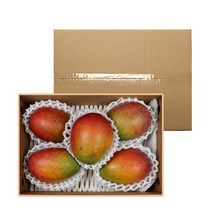 애플망고 선물세트 2kg 내외 5-6과, 없음