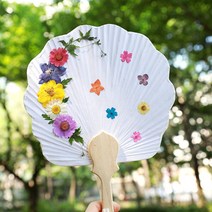 [바보사랑] 압화부채 만들기 - 푸른바다(조가비 연엽선), 선택:연엽선세트, 상세 설명 참조