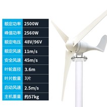 풍력 터빈 가정용 12v24v220v 영구 자석 소형 풍력 에너지 발전기(바람 및 태양열 보완 제어 포함), 2500w3 잎 컨트롤러 없음, 1개