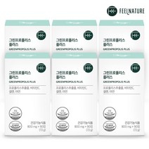 필네이처 4중 기능성 NCS 브라질 그린 프로폴리스 플러스 900mg x60정, 6박스+2무료