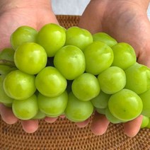 김천 샤인머스켓 청포도 1kg 선물 세트 보자기포함, 쿠팡 1, 쿠팡 본상품선택