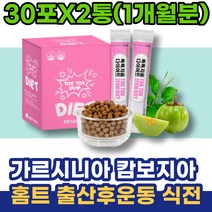 팔순선물 홈트 연예인 군살 포우먼 단시간 허리살 출산후 콜레스테롤 시댁선물 홈쇼핑 다이어트운동 캄보지아 HDL 80대 70대 뱃살빼는법 허벅지안쪽살 남성 90대