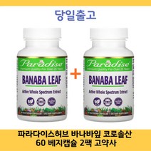파라다이스허브 바나바잎 코로솔산 60캡슐 2팩 고약사