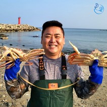 제철 대게 홍게 자숙 박달 연지 붉은 포항 구룡포 선주직송, [신선출발]국산대게(생물or자숙찜), 일반대게 중5마리(찜)수율 60~70%