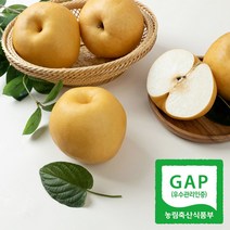 [달찐과일] GAP공식 당도선별 고당도 나주배 (나주 산지직송), 1. 나주배 가정용 3kg (4-7과)