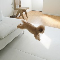 우다다 강아지 롤 매트 / PVC 거실 복도 층간소음 애견 방수 미끄럼 방지 매트, 모카베이지, (두께 24mm) 폭110cm