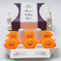 볼빅 계란골프공 선물 6구 비비드 캐릭터 컬러볼, 감사의마음을담아, 3피스_New비비드_오렌지_햇병아리2