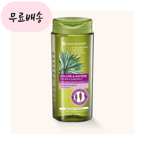 이브로쉐 헤어 볼륨 샴푸 300ml 홍무드 구매대행, 1개