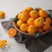 블루제주 서귀포 노지감귤 9kg (중대과 실중량 제주직송)