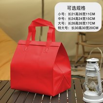 케이크 보냉백 로고제작 50개 아이스백 배달 포장 은박 미니 아이스박스, F 레드 소형 21x26x11cm