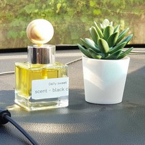차량용디퓨저 실내디퓨저 화장실 아로마디퓨저 데일리스윗50ML, 향:8.오렌지자몽
