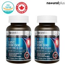 캐나다 조인트 엠에스엠 비타민 d 엄마 아빠 4개월분 식약처인증 msn 초록홍합 부모님 선물 JOINT MSM 1500 상어연골 분말 정 여자 남자 2