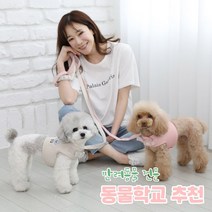 리토가토 러비 커스텀 캐릭터 강아지 하네스 + 리드줄 세트 5종 (컴퓨터 자수) 동물학교 추천, 옐로우