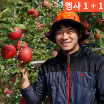 1+1(2박스) 아삭한 달콤한 보조개 꼬마 작은 큰 꿀 청송 홍로 부사 20 kg 키로, 정품 중대 10kg(29-37과) 2박스