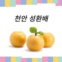 [뒷골영농조합법인] 언제나 아름답고 신선한 하루 한입 천안 성환배 5kg -67032599ea, 1개