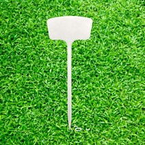 중 플라스틱 화이트 꽃 이름표 수목 표찰 식물 이름 꽂이 작물 팻말 푯말 화분 네임픽 픽 라벨 네임택 10개입 화단 텃밭 가꾸기 작물 표시 싸인