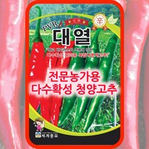 청양고추씨앗 PVR대열 100립 고추 종자 매운고추, 단품