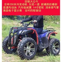 ATV 4륜 구동 자동 오토바이 스쿠터 전기 산악 지형 오프로드 가솔린, BigBull250수냉식사륜구동