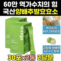 오라뷰 단백질 양배추 발효 소화 분해 효소 역가 2통 소화효소 효소제품 파우더 아밀라아제 탄수화물 효소제 분해효소 아밀라제 프리미엄 생생 속편한 발효효소 효과 효소양배추 분말
