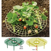 한누리팜마트/(녹색)딸기받침대(5개 묶음)/딸기재배기/strawberry cultivator, 1개